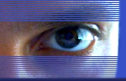 olografica realizzazione siti flash
