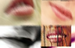 olografica realizzazione siti e sfondi gratis
